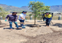 Castle Cleanup Campaign 